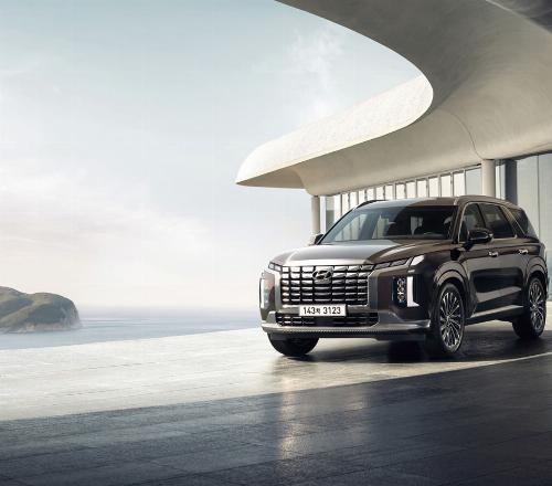 팰리세이드차량 2026-04-03일 24시간 할인가 41720원